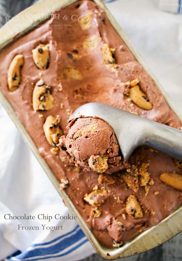 Chocolate Chip Cookie Frozen Yogurt