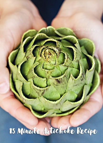 15 Minute Artichoke Recipe