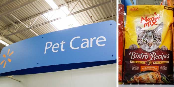 Where to buy- Caring for Cats : How to Spoil a Cat