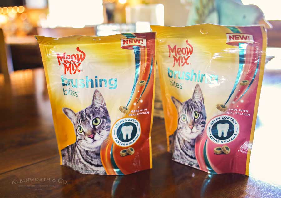 Best Treats for Cats