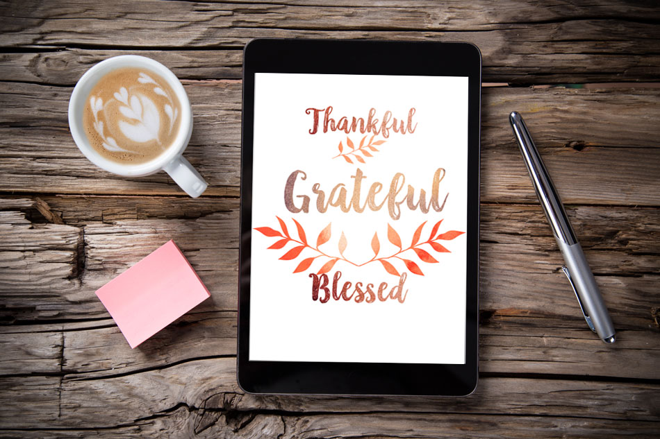 Thankful grateful blessed  Thanksgiving wallpaper Fall wallpaper Work  quotes