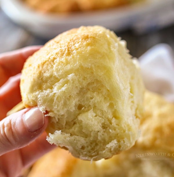 Sweet Potato Dinner Rolls