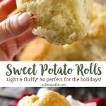 Sweet Potato Dinner Rolls