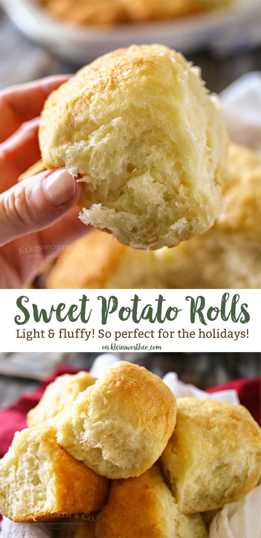 Sweet Potato Dinner Rolls