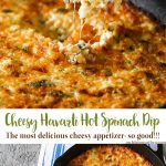 Cheesy Havarti Hot Spinach Dip