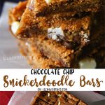 Chocolate Chip Snickerdoodle Bars