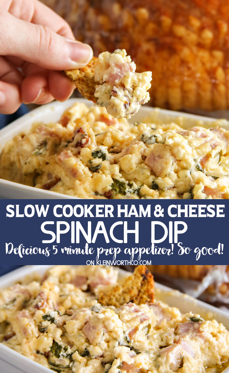 Slow Cooker Ham & Cheese Spinach Dip appetizer recipe