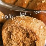 One Hour Brown Bread Dinner Rolls