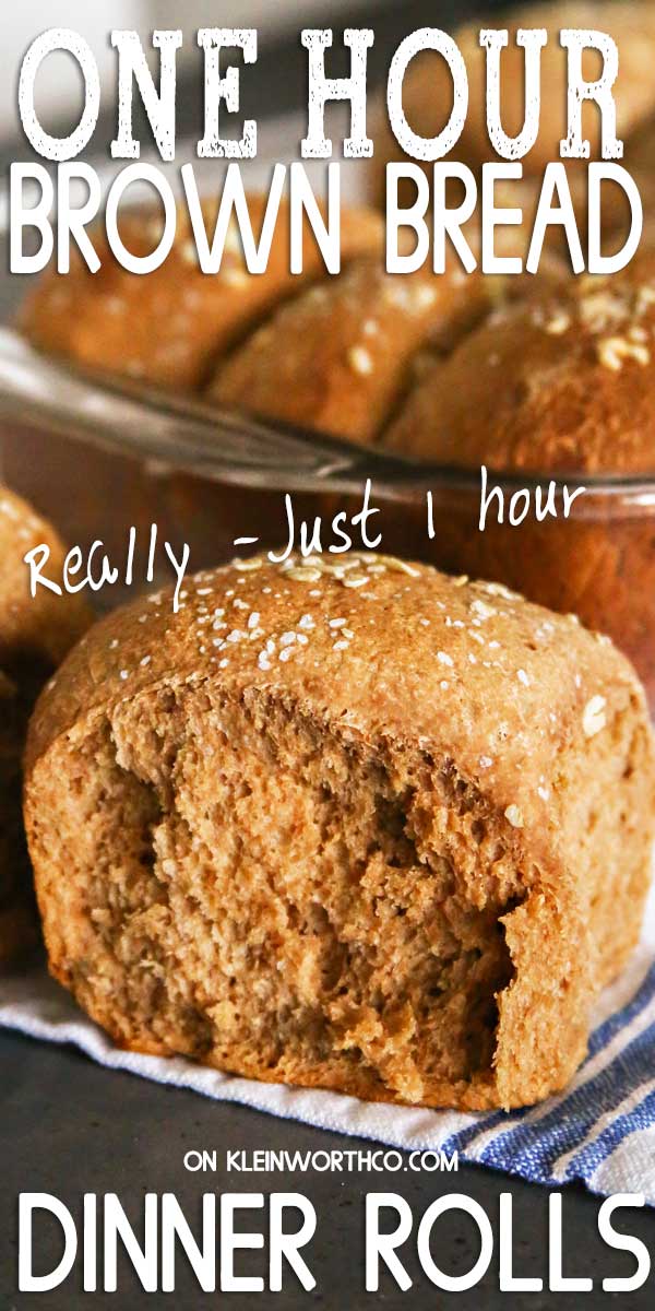 One Hour Brown Bread Dinner Rolls