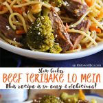 Slow Cooker Beef Teriyake Lo Mein