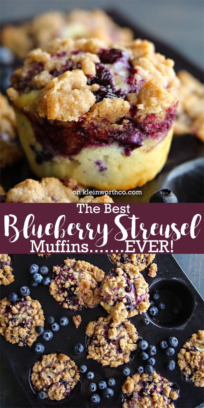 Best Blueberry Streusel Muffins