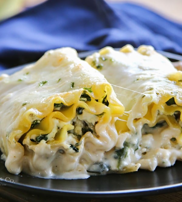 Chicken Spinach Alfredo Lasagna Roll-Ups