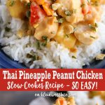 Slow Cooker Thai Pineapple Peanut Chicken