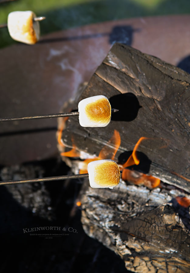 Toasting marshmallows