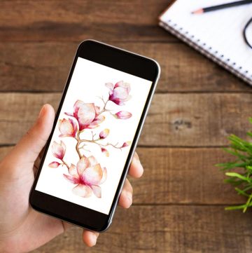 Cricut Archives - Kleinworth & Co