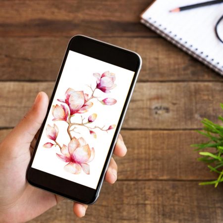 DIY Phone Screen Protector