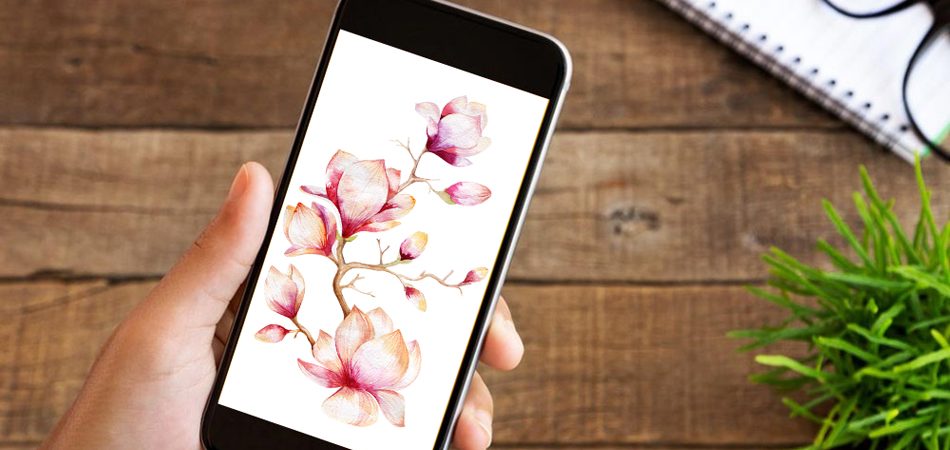 DIY Phone Screen Protector