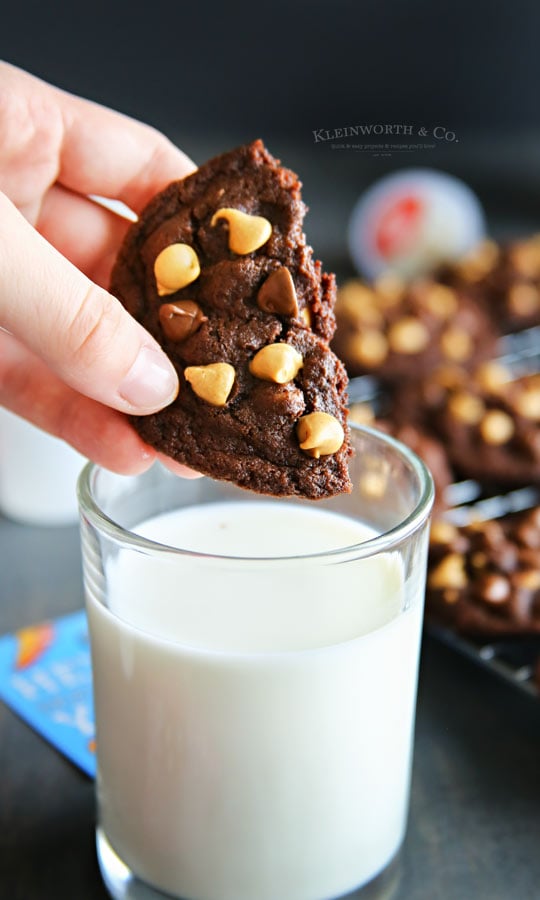 Recipe for Peanut Butter Chocolate Brownie Cookies