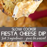 Slow Cooker Fiesta Cheese Dip