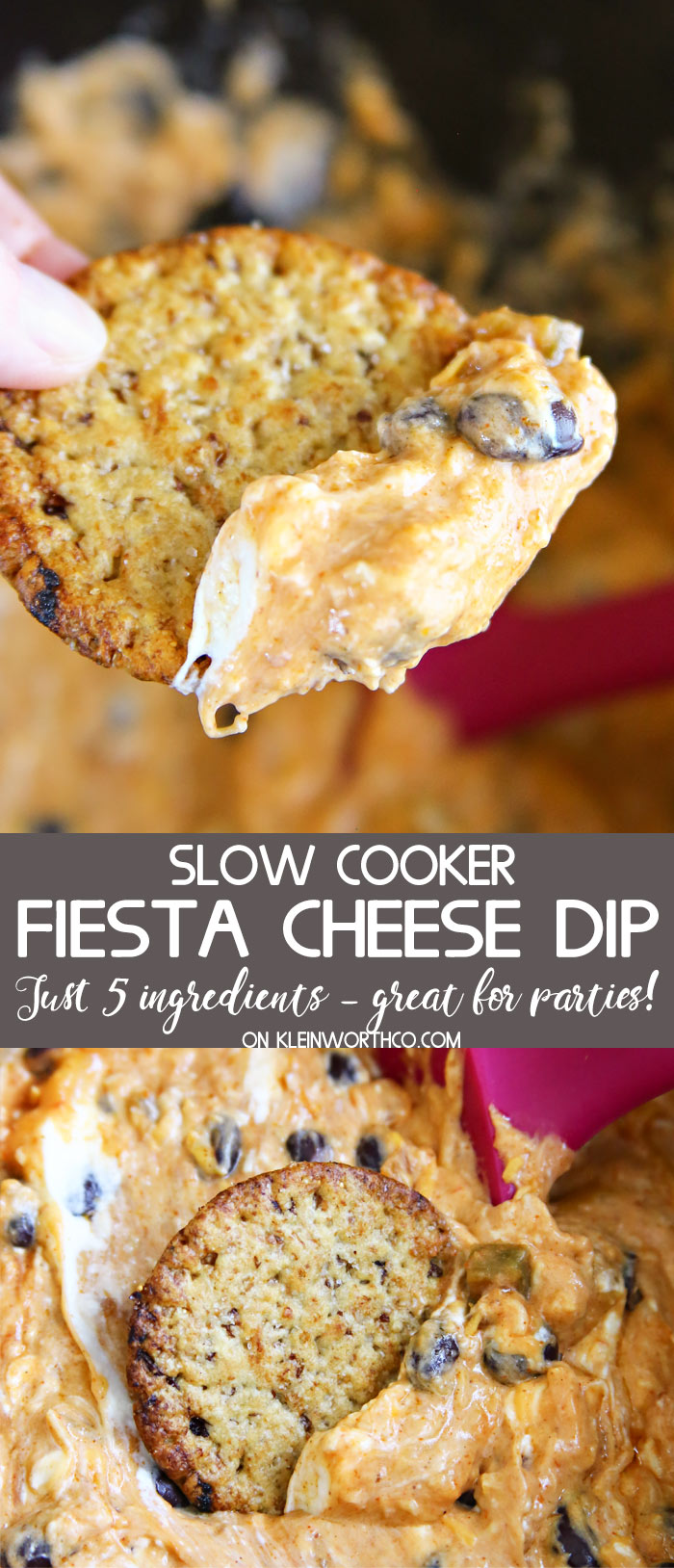 Slow Cooker Fiesta Cheese Dip