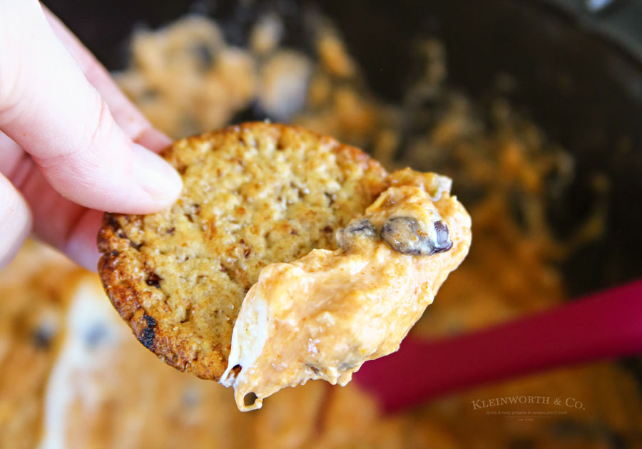 Slow Cooker Fiesta Cheese Dip