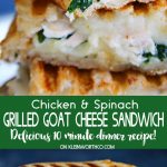 Chicken & Spinach Grilled Goat Cheese Sandwich