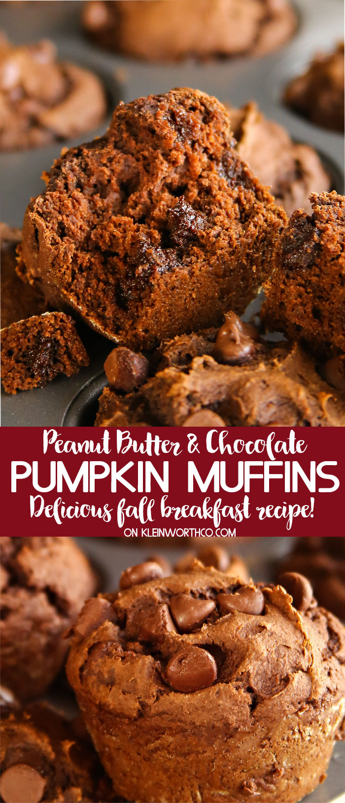Best ever- Peanut Butter Chocolate Pumpkin Muffins