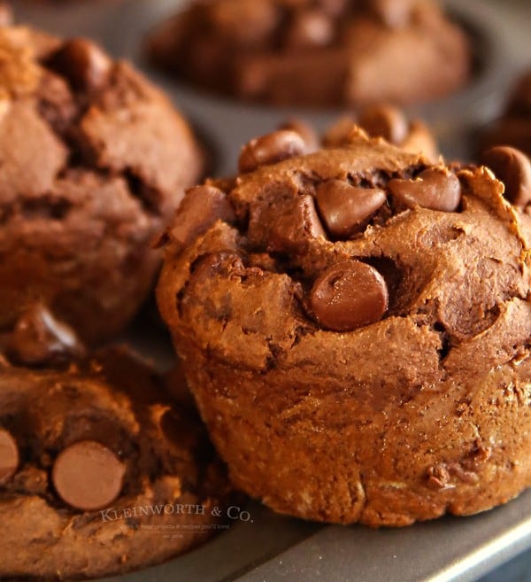 Peanut Butter Pumpkin Muffins recipe