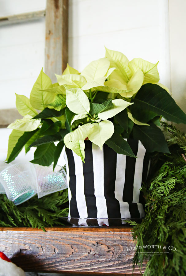 black and white holiday decor