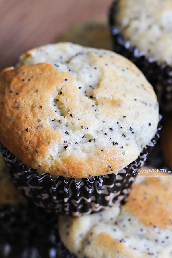 poppy seed muffin recipe