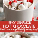 Spicy Cinnamon Hot Chocolate