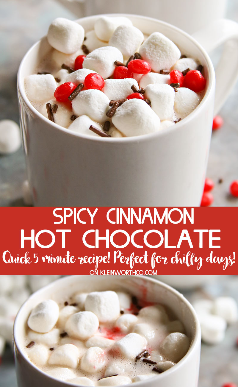 Spicy Cinnamon Hot Chocolate