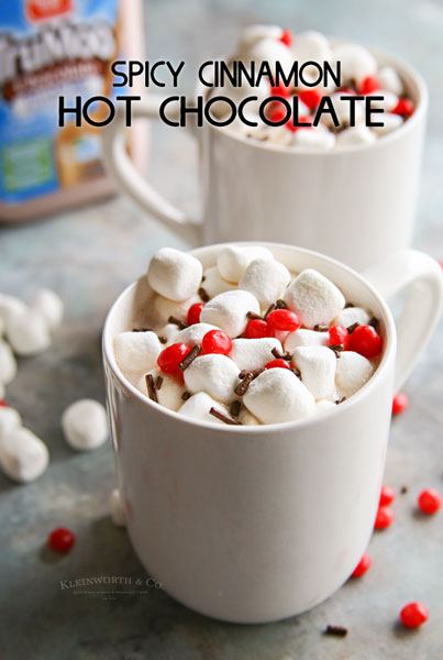 Spicy Cinnamon Hot Chocolate