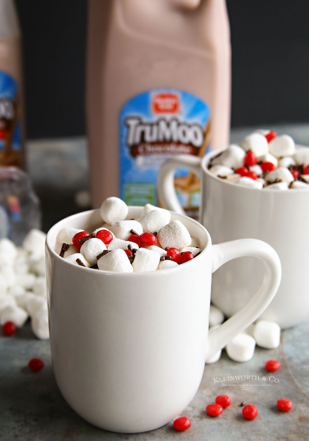 TruMoo hot chocolate