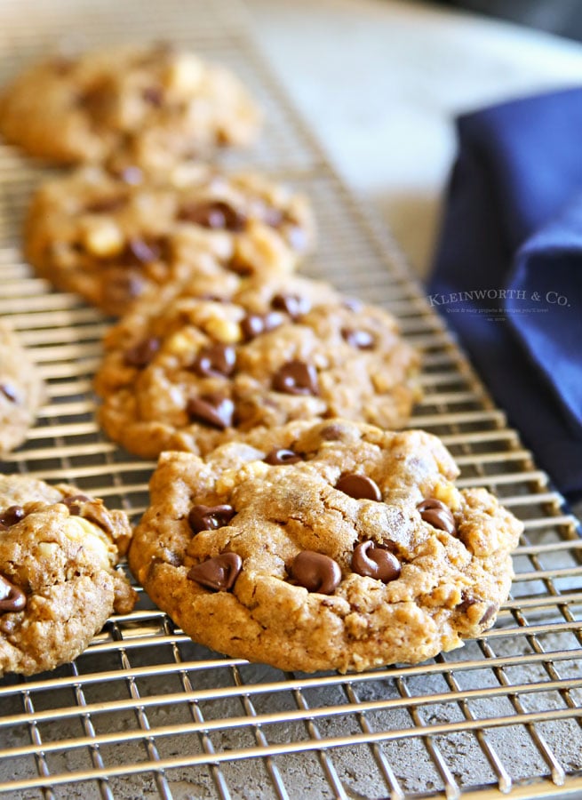 molasses oatmeal cookies