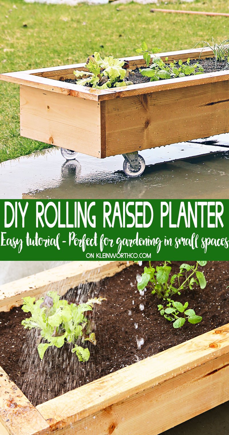 DIY Rolling Planter Box