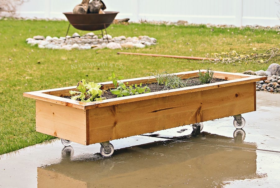 DIY Rolling Planter Box - Taste of the Frontier