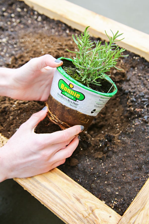 DIY Rolling Planter Box for Bonnie Plants