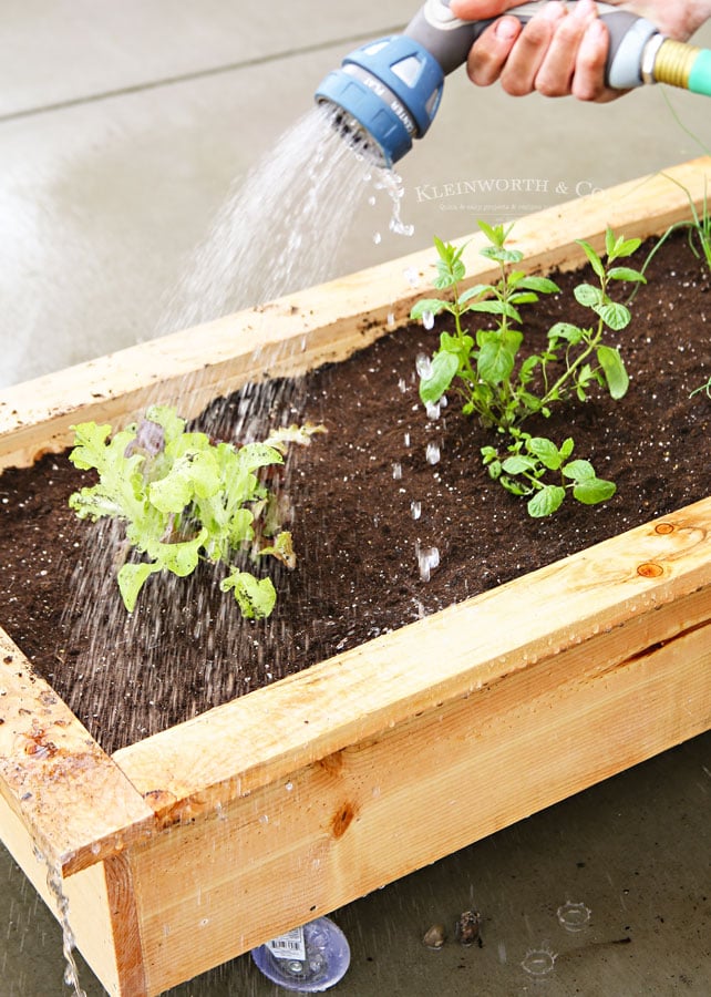 DIY Rolling Planter Box - Container Gardening