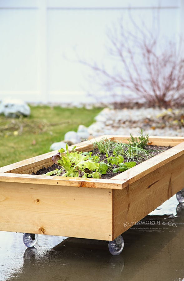 DIY Rolling Planter Box - how to make