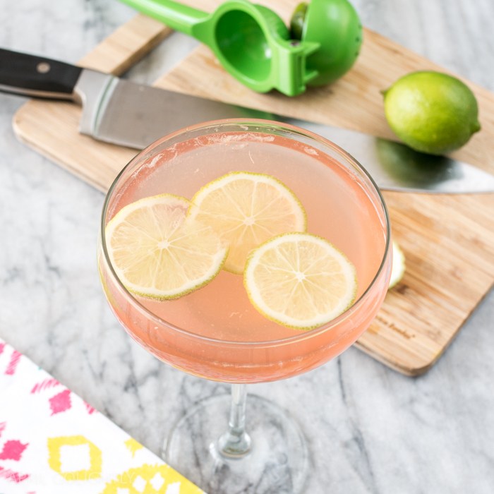 Pomegranate Margarita Wine Spritzers