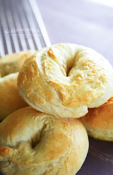 homemade bagels with greek yogurt