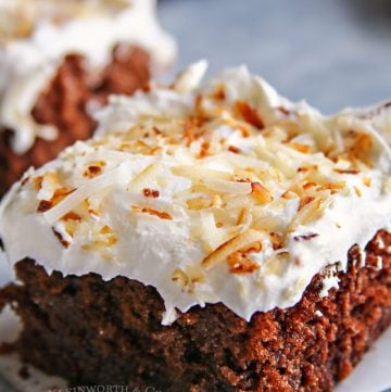 chocolate coconut cake with whipped cream