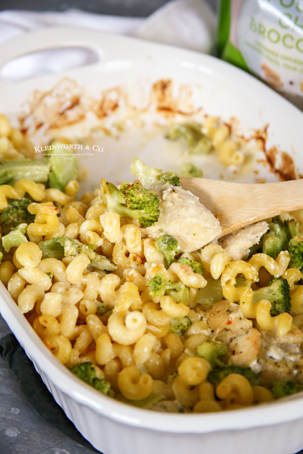 Easy Meals For College Students Yummi Haus
