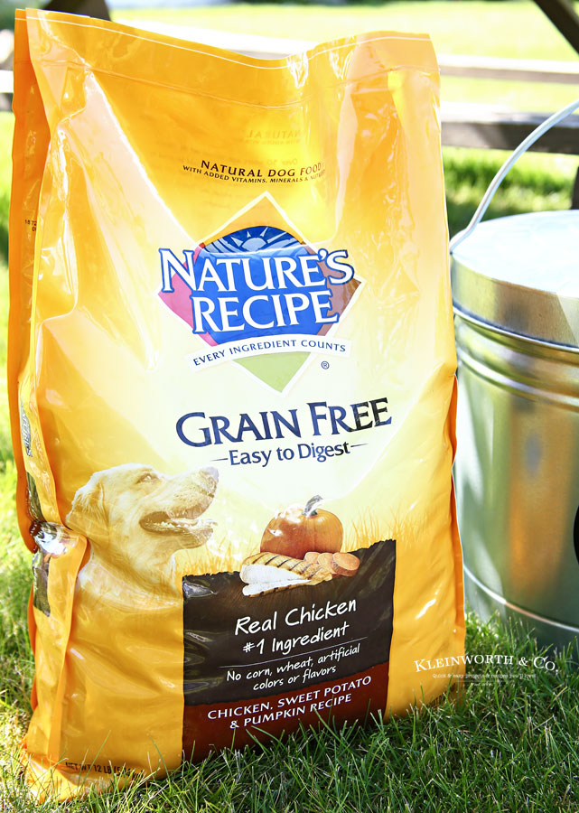 Best grain free dog food