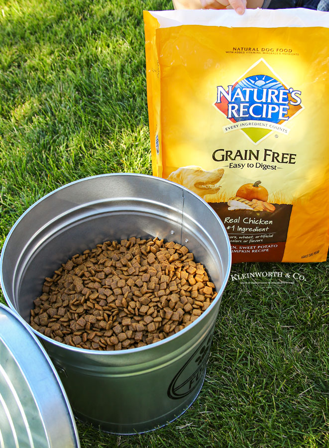 how to store dog food