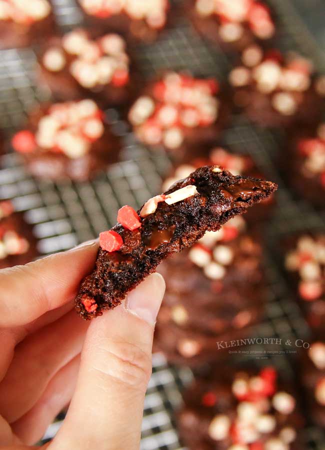 Holiday Cookies - Dark Chocolate Peppermint Cookies