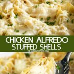 Chicken Alfredo Stuffed Shells