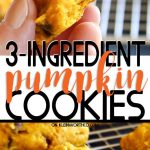 3-Ingredient Pumpkin Cookies