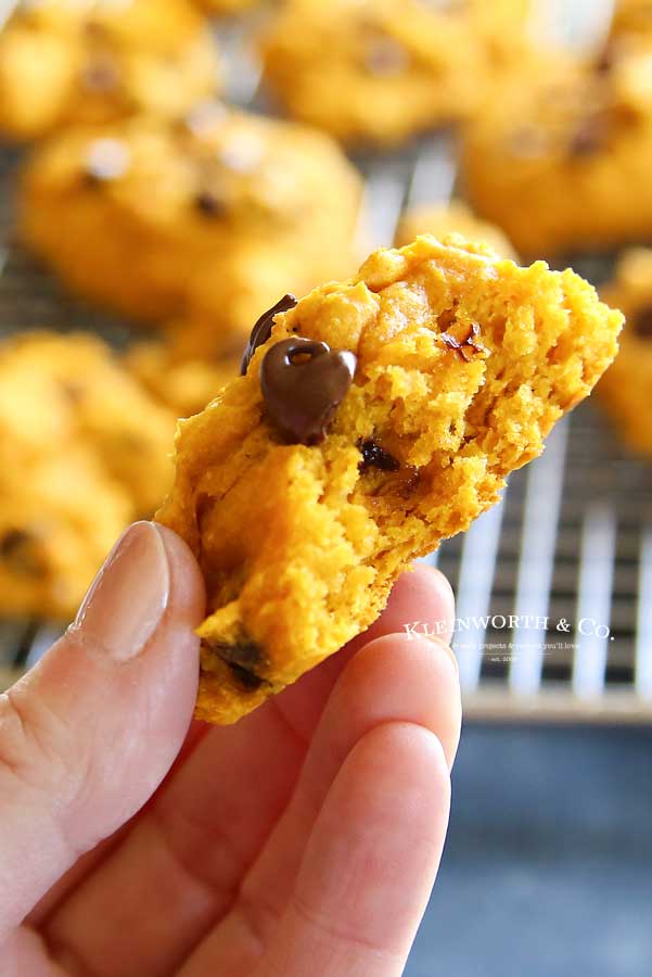 thick & chewy 3-Ingredient Pumpkin Cookies